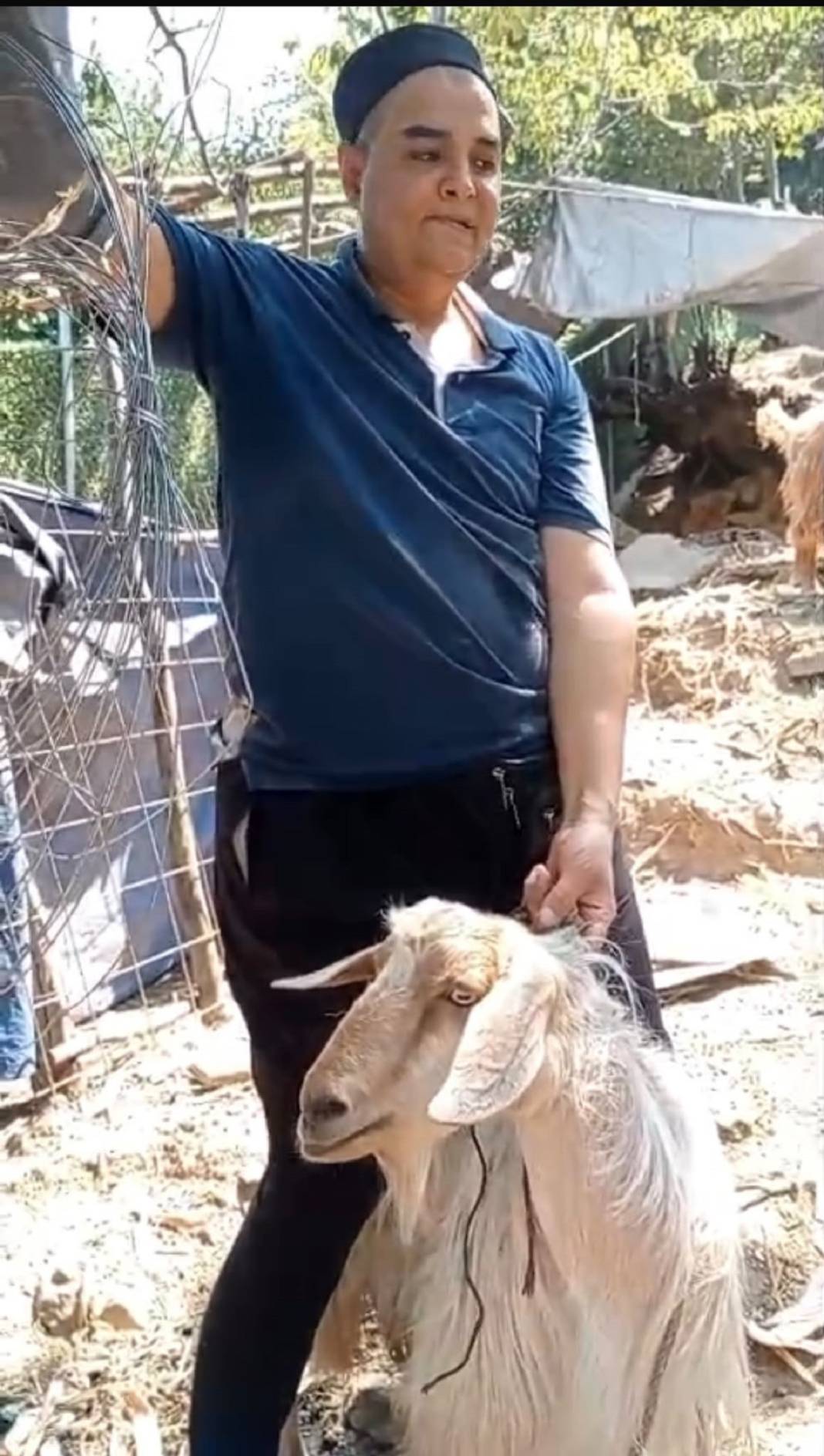 Mutfağına giren keçiye 'Seni polise veririm' dedi 3